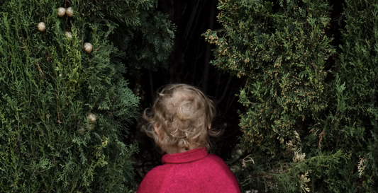 Looking Closer - The Relationship between Science and Fashion