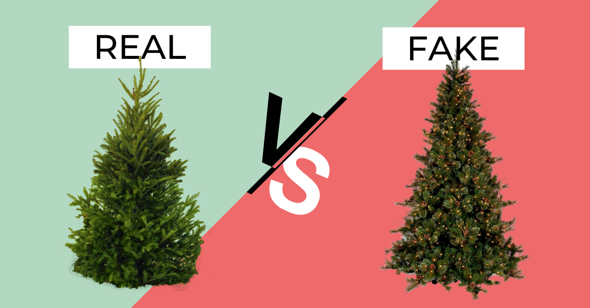 A natural christmas tree and a fake christmas tree made with plastic.