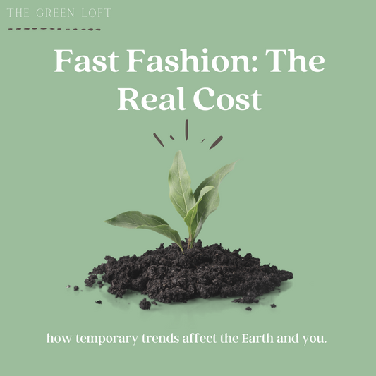 The Real Cost of Fast Fashion