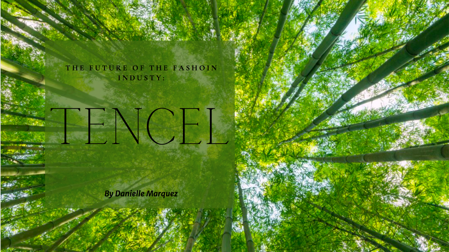 Why TENCEL™ is the Future of the Clothing Industry