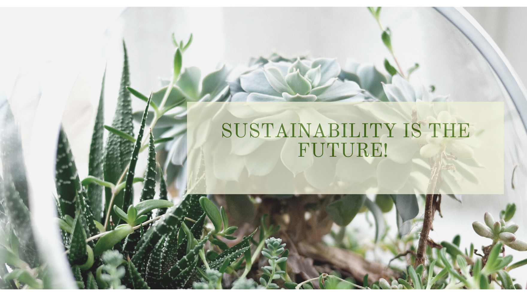 What Does Sustainable Really Mean?